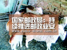 国家邮政局:持续推进邮政业安全生产领域改革发展-亚博首页(图4) 亚博娱乐